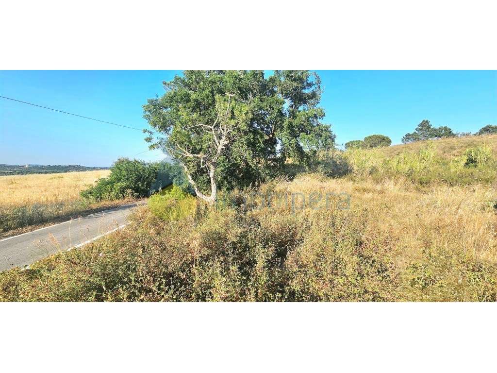 Terreno Urbano com viabilidade de construção até 3 Moradias com exc...-8