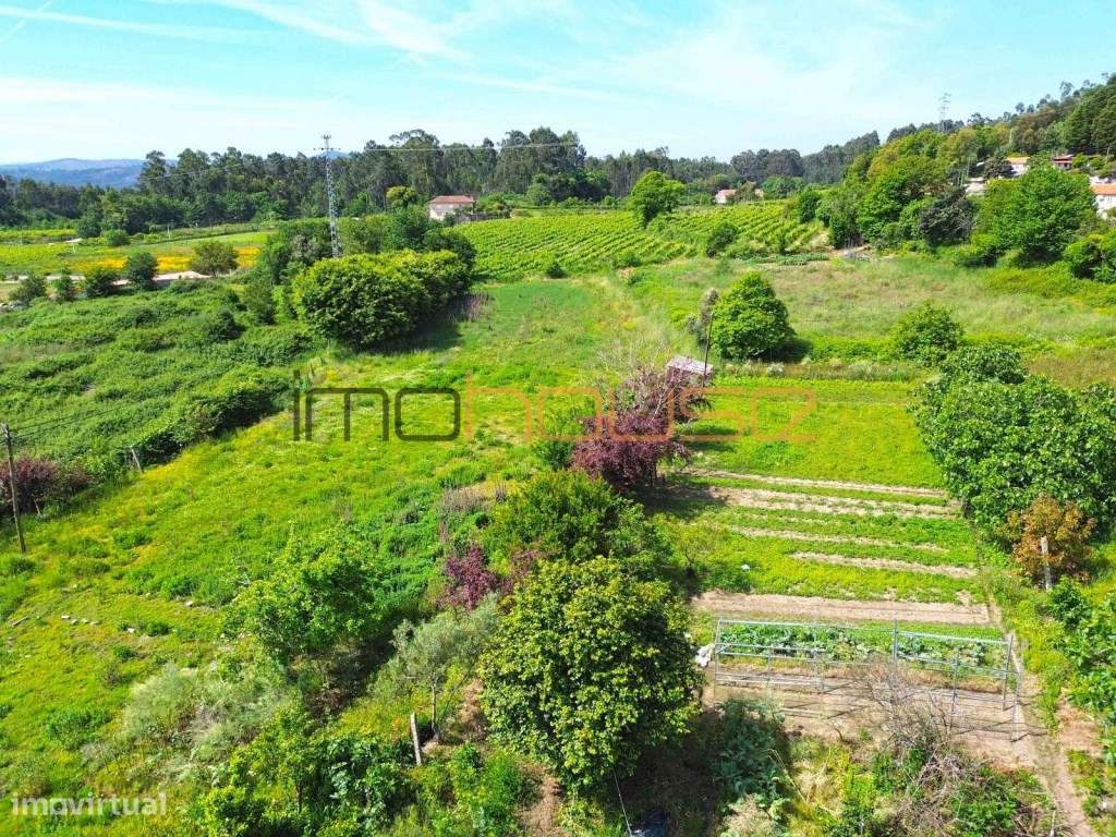 Quinta Tradicional com Terreno Plano e Ribeiro - A 22 min. do Porto-14