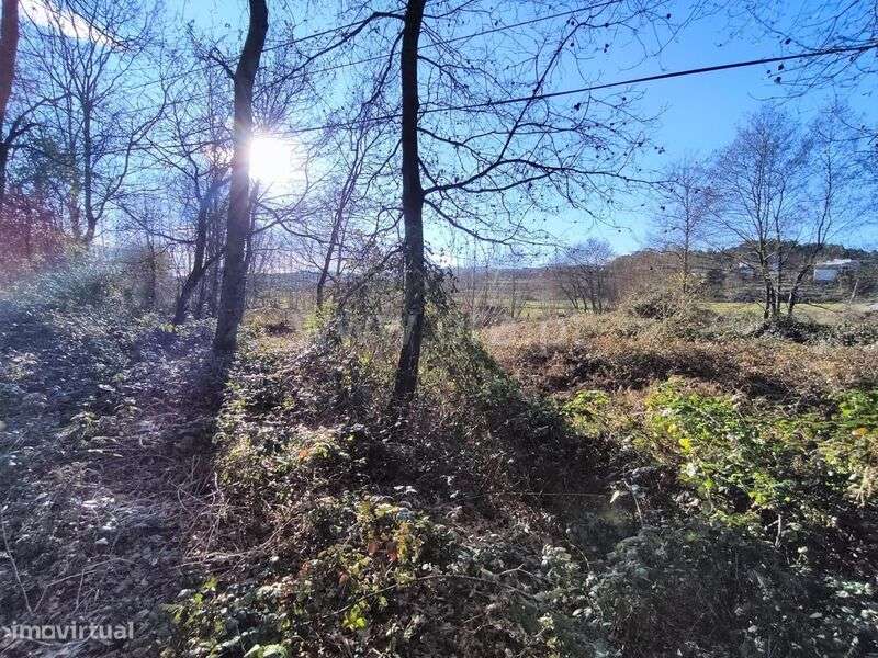 Terreno / Paços de Ferreira, Eiriz - Grande imagem: 2/6