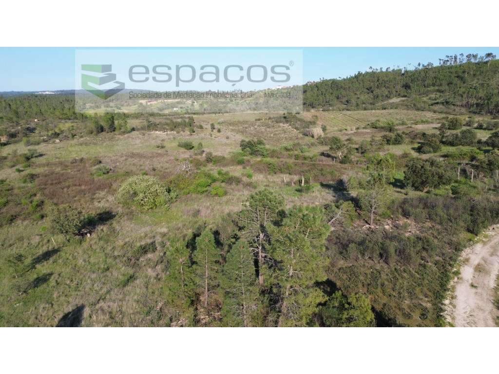 Terreno com 2 poços - S. Domingos - Grande imagem: 4/11