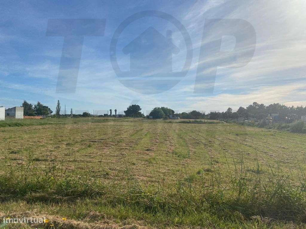 Terreno urbano para loteamento com 10720m2 -Foros de Salvaterra - 2...-2