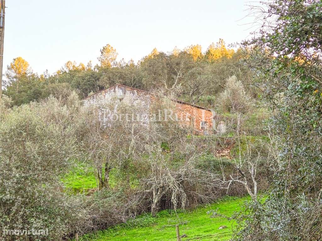 Quintinha com 10 hectares na Serra de S. Mamede - Grande imagem: 5/19
