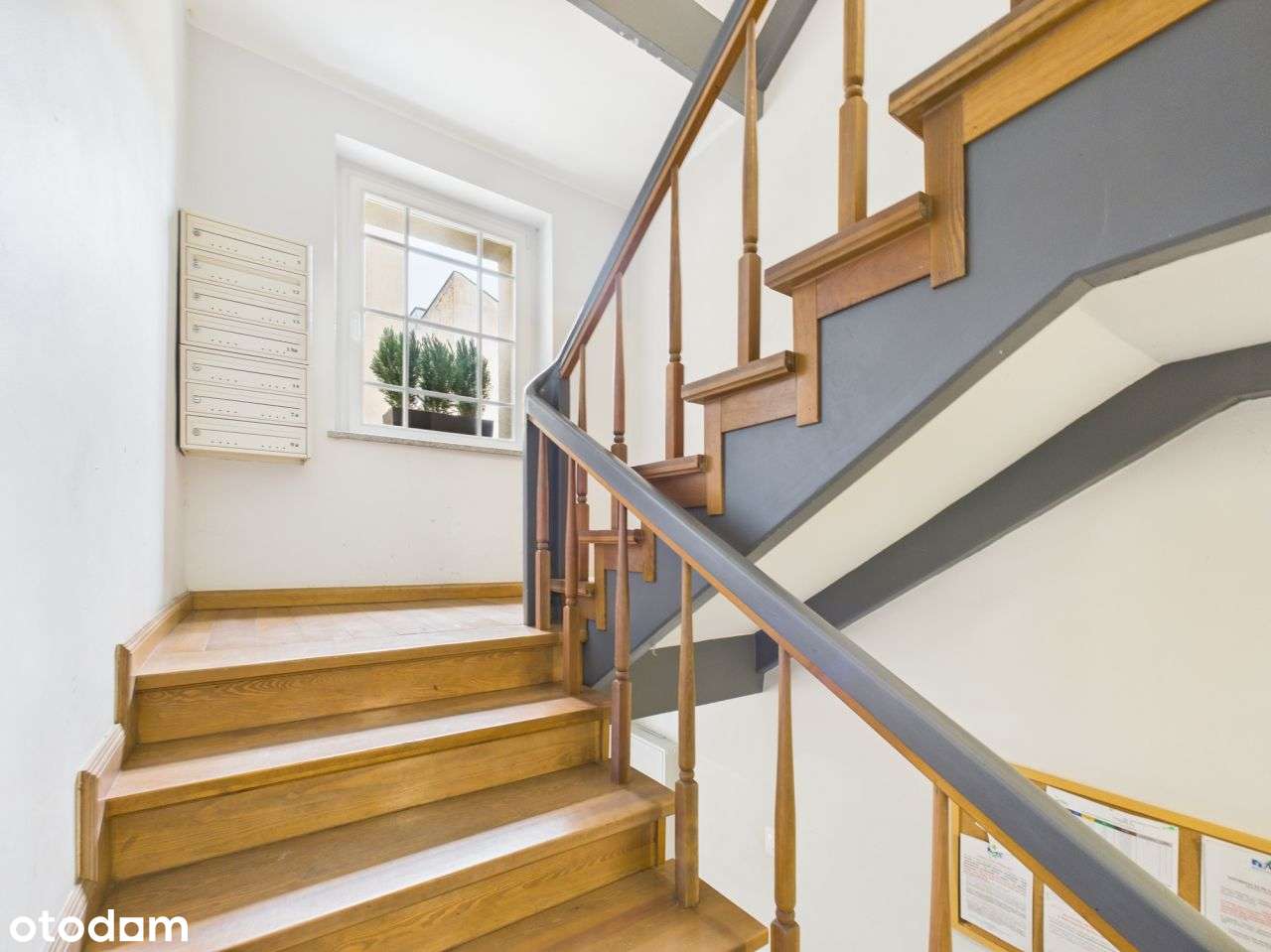 Twoje M w zrewitalizowanej kamienicy✨ścisłe centru