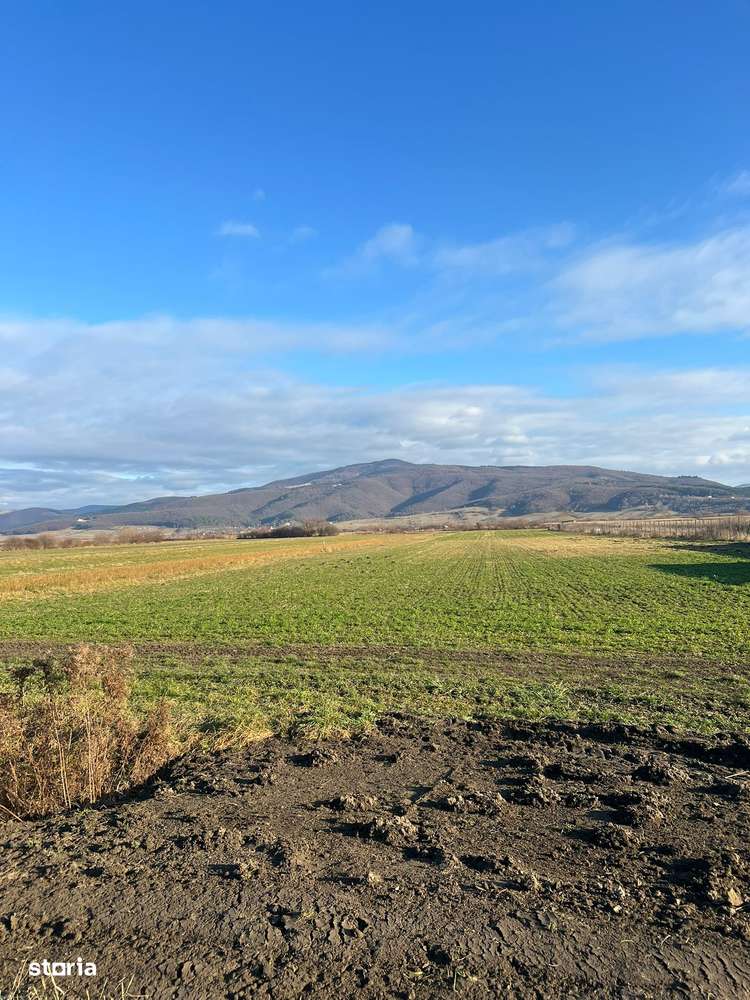 Teren intravilan, 3784 mp, de construit-0