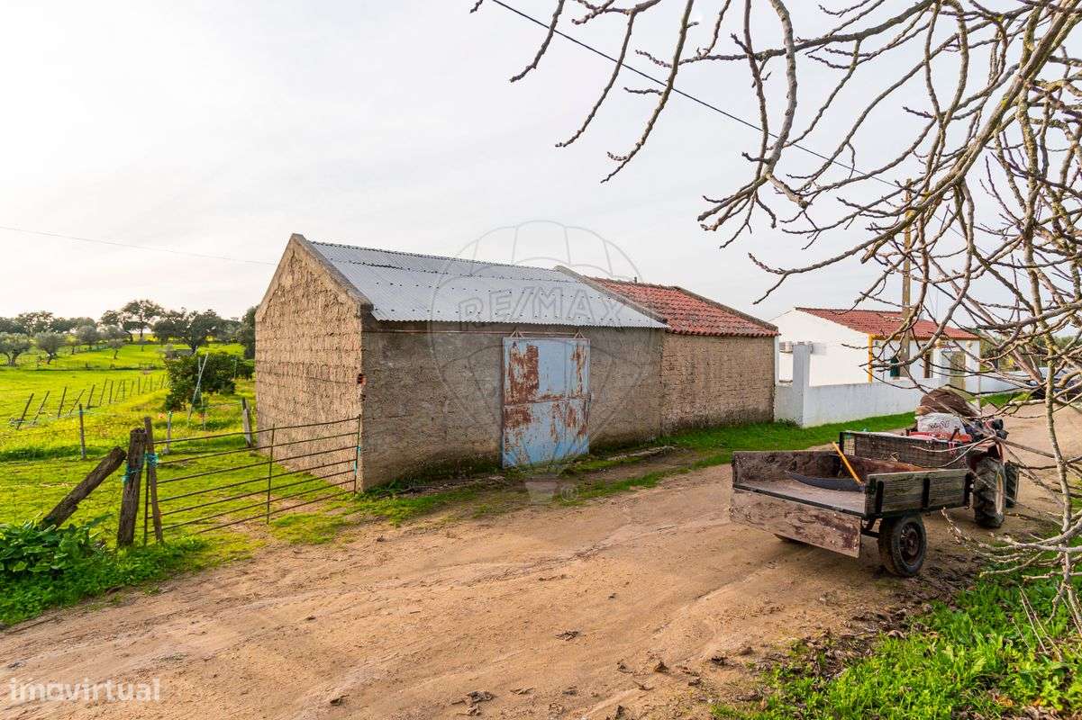 Quinta T2 para venda - Grande imagem: 5/50