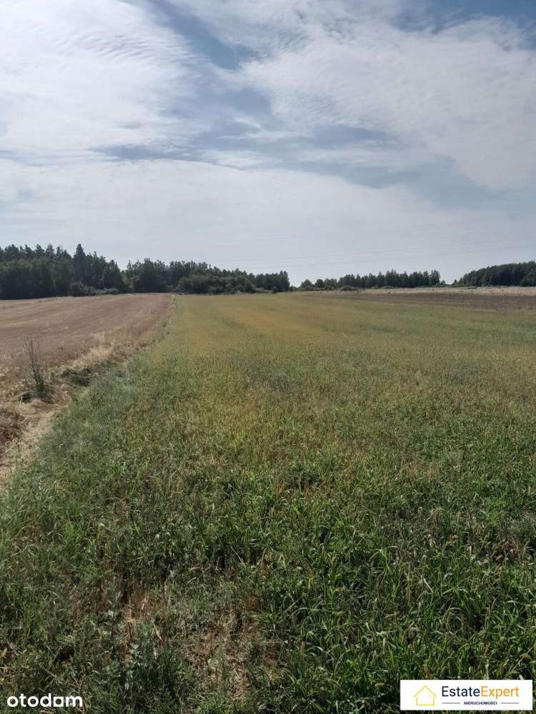 atrakcyjna działka rolna Skrzelczyce - Pełny obrazek: 4/6