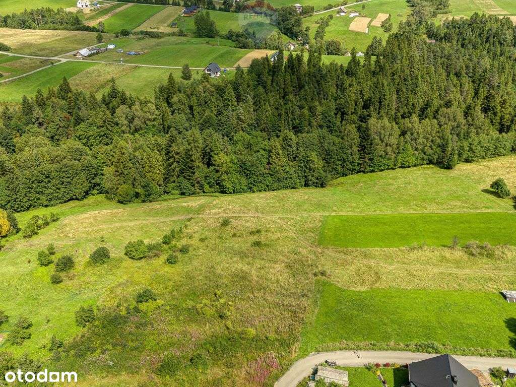 69ar za 300 000? tak to możliwe ! - Pełny obrazek: 5/19