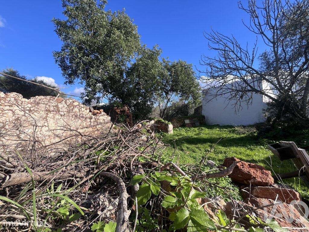 Terreno para construção em Querença, Tôr e Benafim - Grande imagem: 3/9