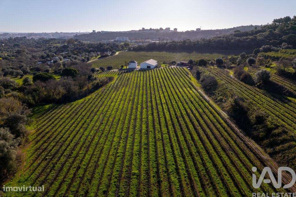 Quinta T4 em Setúbal de 200 m2 - Grande imagem: 5/40