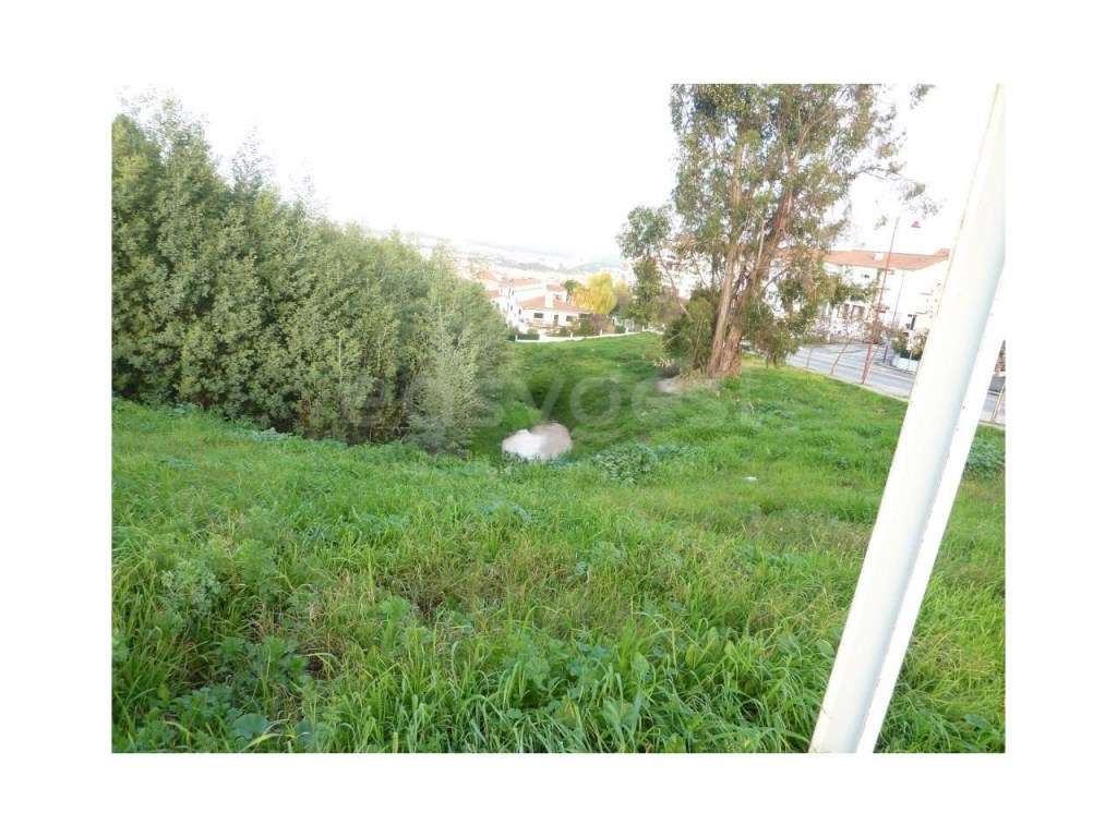 Terreno Urbanizável c/ 25120m2 em Abrantes - Grande imagem: 5/9