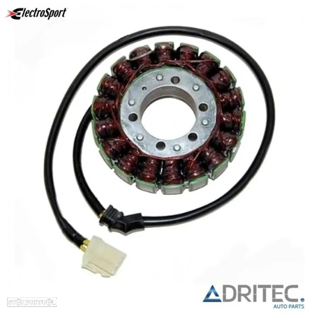 STATOR TRIUMPH SPRINT 1050 ST (2005-2010) TIGER 1050 (2008-2011) ELECTROSPORT - 1