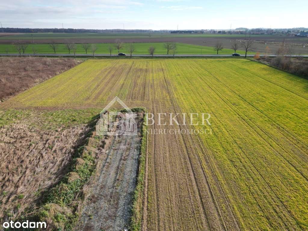 Mpzp | 1079 m2 | Budowlana | Gniechowice-3