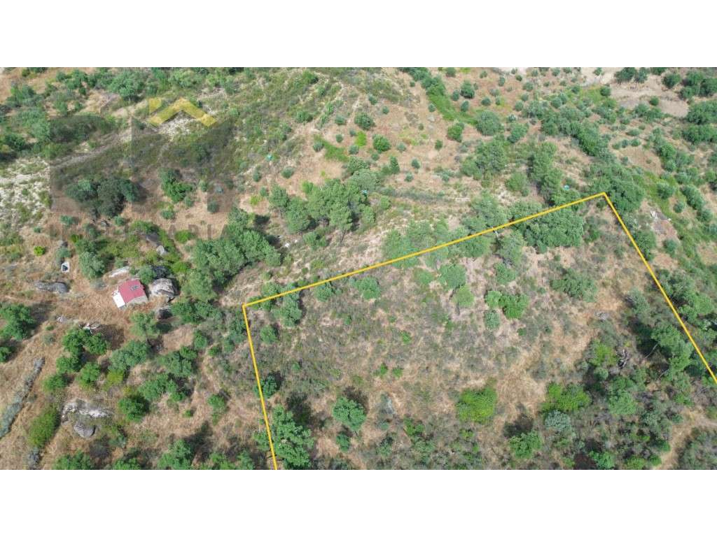 Terreno rústico com 4.400m2 para venda no Palvarinho! - Grande imagem: 5/15