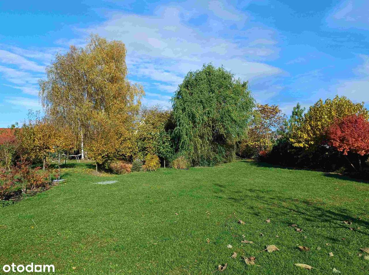 DWA DOMY na dużej działce w Dolinie Baryczy - GOGOŁOWICE-19