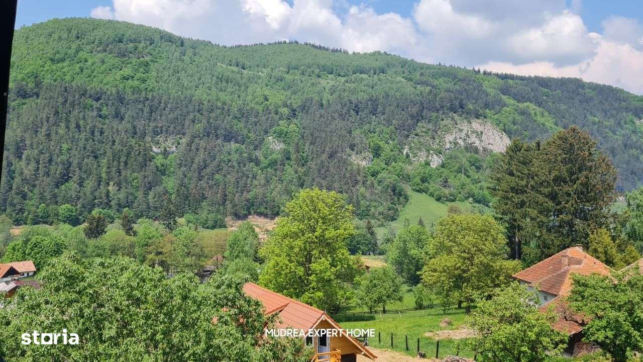 Nou | Vila-Hotel-Pensiune | 12 Camere | Bran-Moieciu - Imagine principală: 4/19