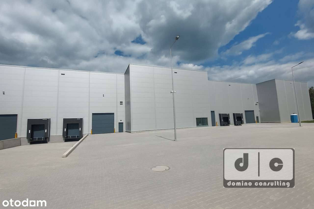 Nowa hala do wynajęcia w Zabrzu. KSSE. - Pełny obrazek: 4/4