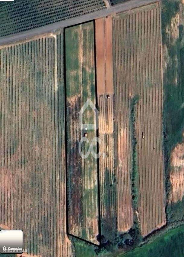 Terreno rústico para venda, em Cadaval.-7