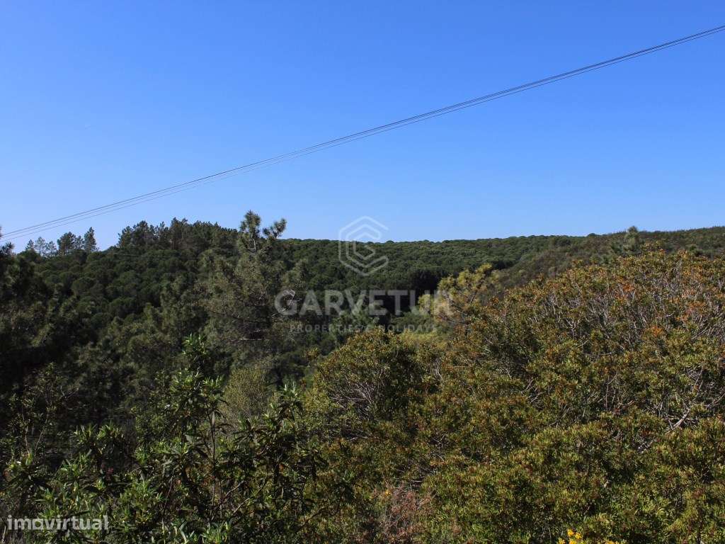 Terreno rústico junto à barragem, Odiaxere, Lagos - Grande imagem: 2/12