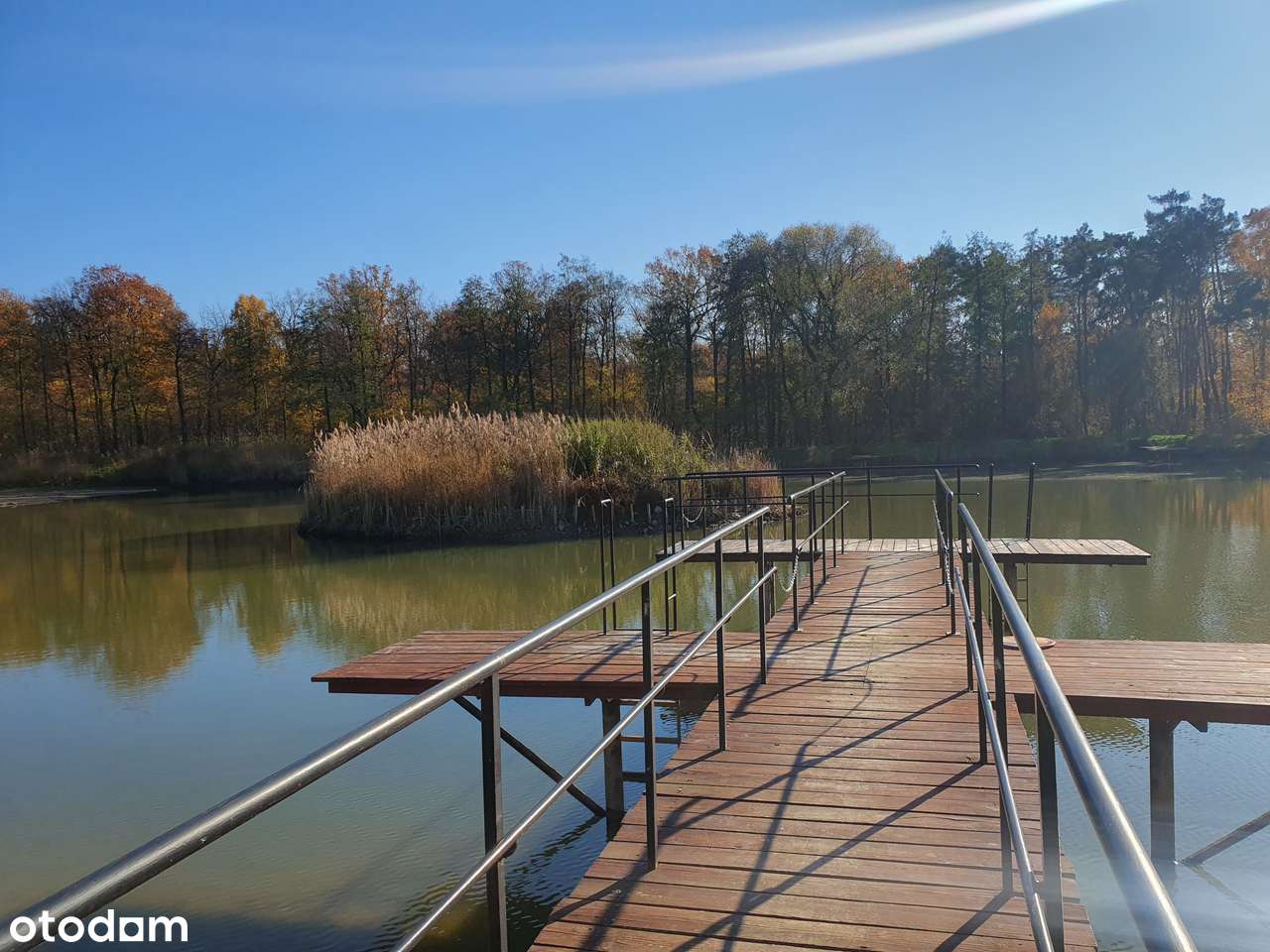 Osada Jagodowa, las, jezioro, cisza, spokój-4