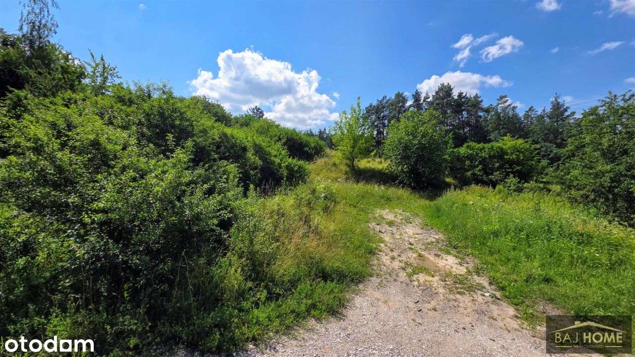 Dąbrówka Królewska - działki na sprzedaż.-1