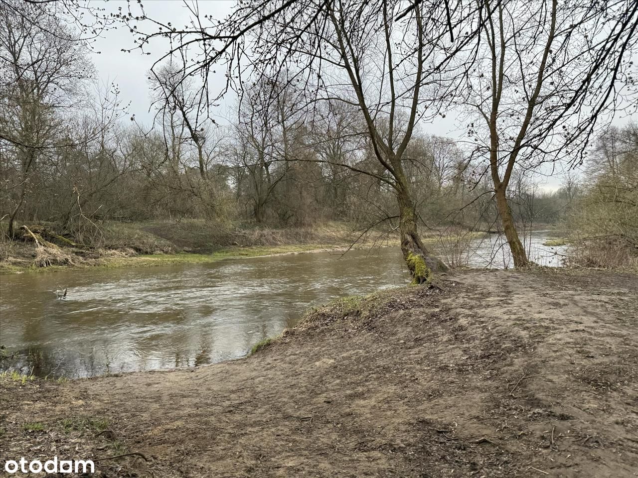 Piękna działka na sprzedaż, Otwocki, Józefów