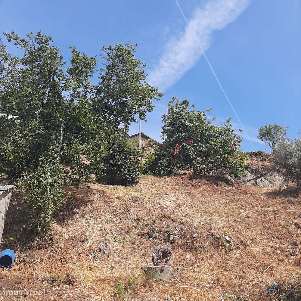Casa em pedra para reconstruir Canelas Penafiel-13