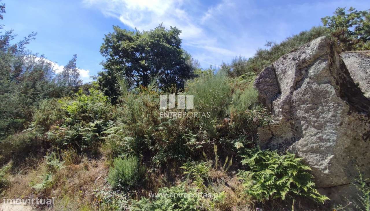 Venda Terreno com 1772m2, Soalhães, Marco de Canaveses - Grande imagem: 4/31