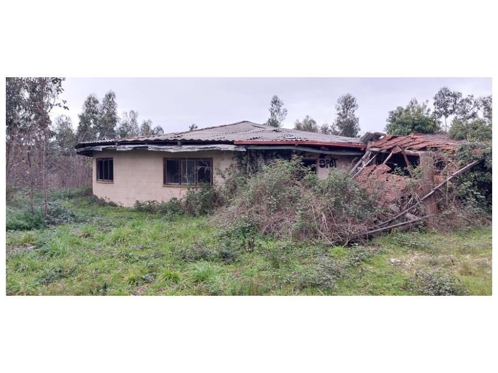 Quinta do Moleirinho, grande terreno com 14 ha nos Moinhos de Carvide - Grande imagem: 2/8