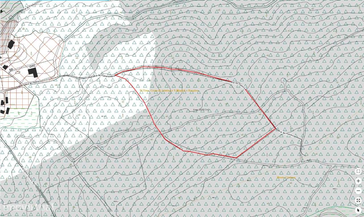 Propriedade Rústica em Santo Tirso-10