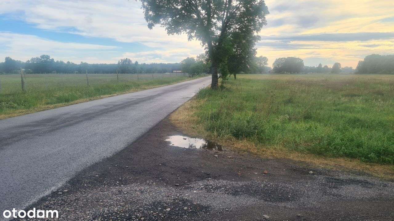 Działka Maszewo super lokalizacja!!! - Pełny obrazek: 5/6