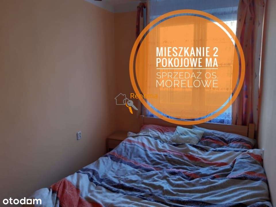 Mieszaknie 2 pokojowe  oś. Morelowe-1