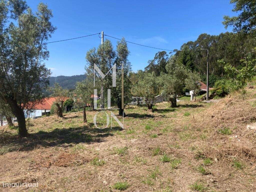 MORADIA EM RUÍNA com 3177m2 de terreno, em PONTE DE LIMA - Grande imagem: 4/9