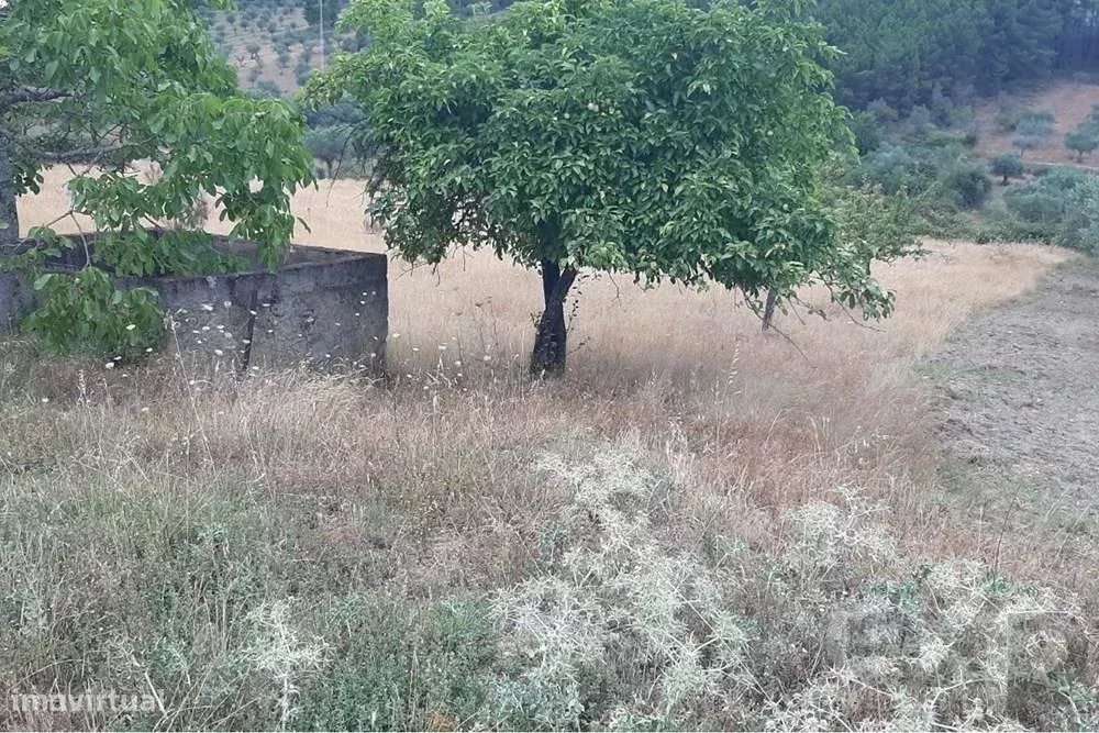 Terreno rústico - Freguesia Bouça - Grande imagem: 4/7