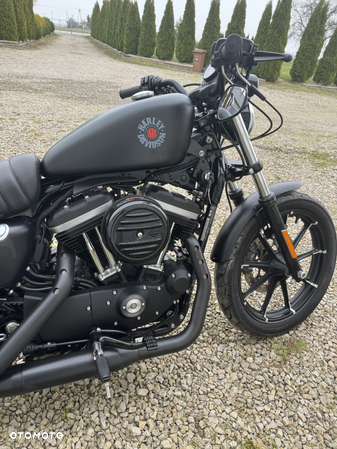Harley-Davidson Sportster Iron 883 - 9