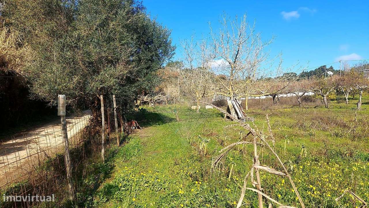 Terreno  para venda-28