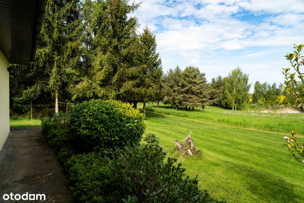 Dom z potencjałem, 1,6 HA ZIEMI + STAW-18