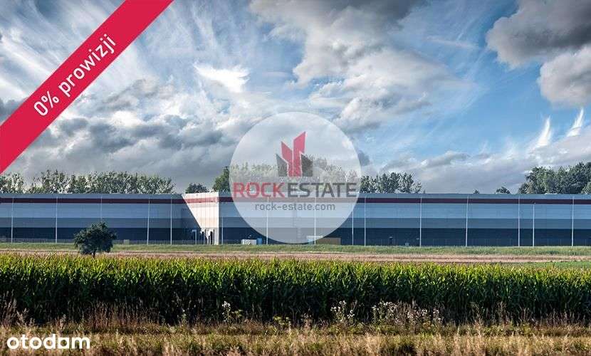 Magazyn pod Piotrkowem od zaraz - 0% prowizji - Pełny obrazek: 5/5