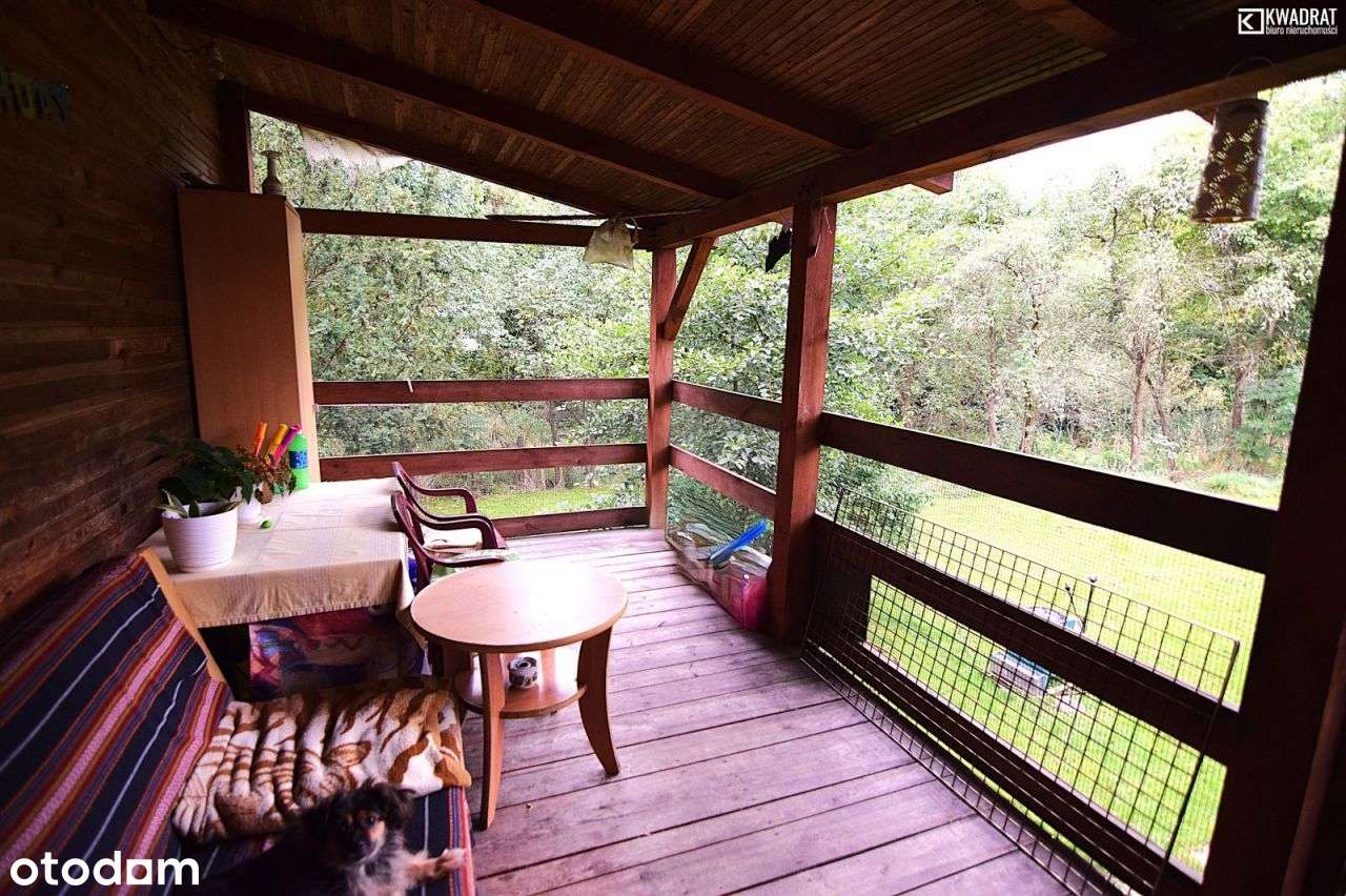 Dom na dużej działce w Kurowie, 19a - Pełny obrazek: 5/15