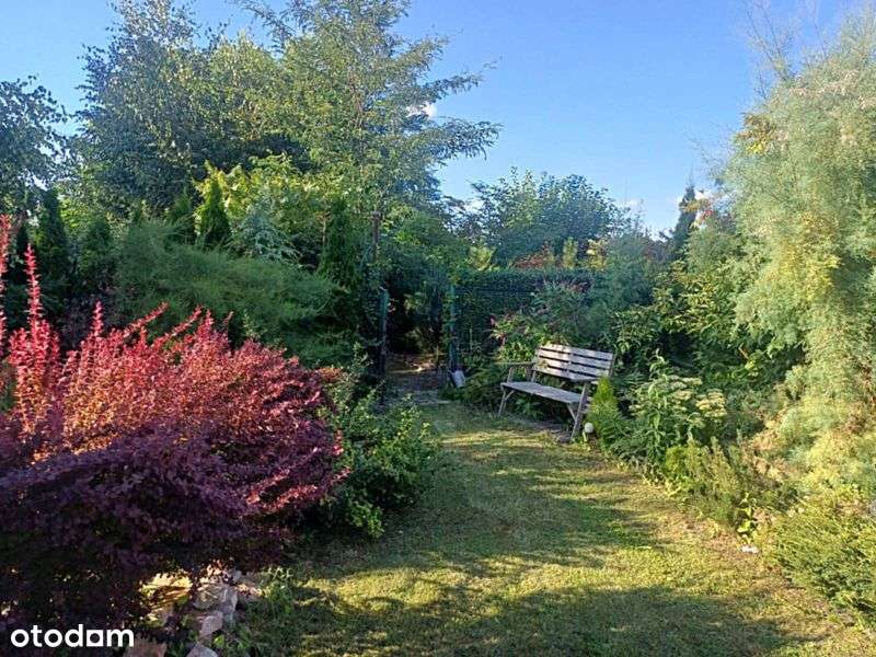 Nowa niższa cena! Dom, 4 pokoje, 100 m2, Opalenica-15