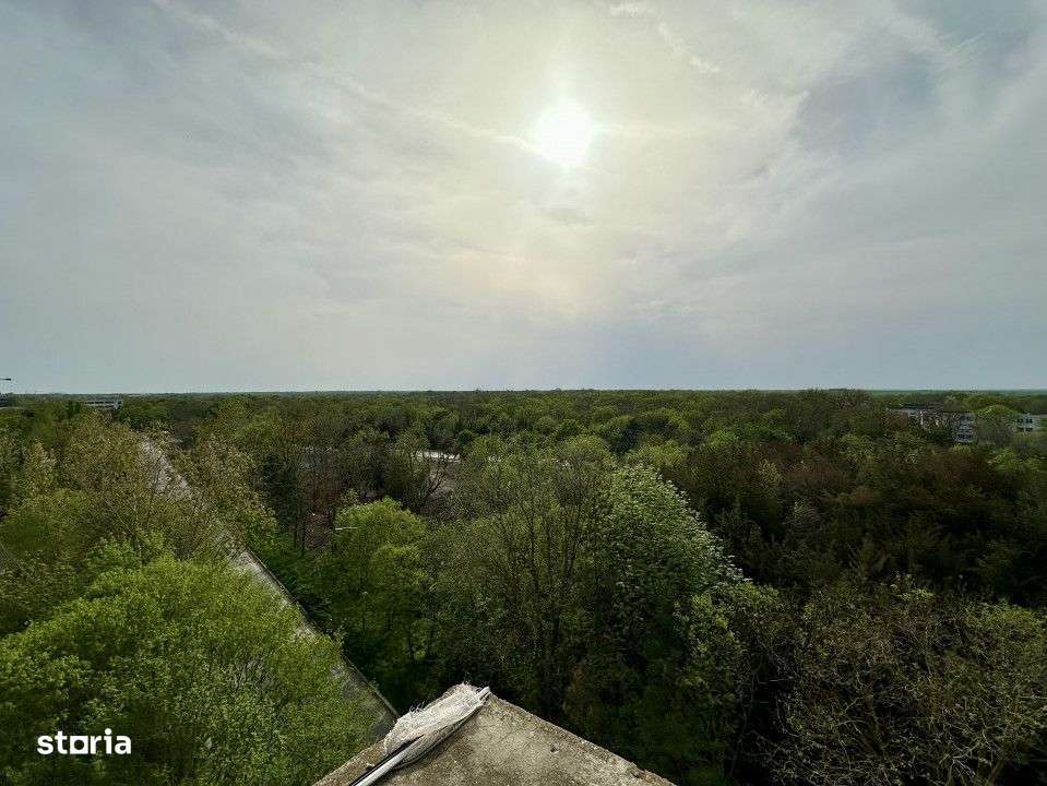 SevenPalms Olimp | Studio XL cu vedere catre mare si padure langa plaj - Imagine principală: 3/14