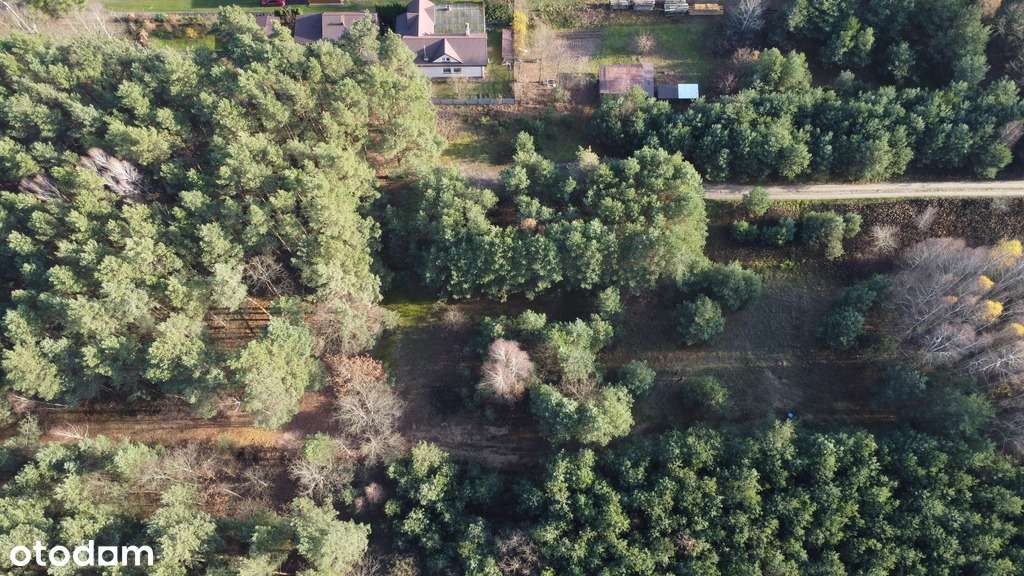 Na sprzedaż wyjątkowa nieruchomość – dwie działki - Pełny obrazek: 5/13