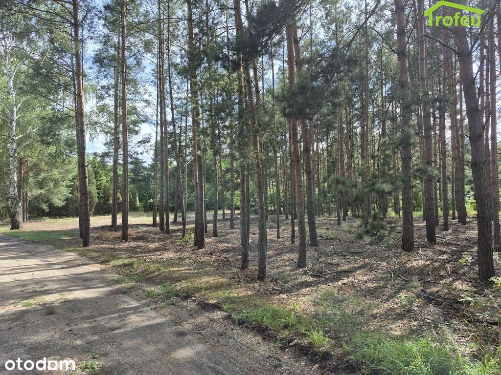 Działka 2400 m2, Mały Rudnik, Warunki Zabudowy!!! - Pełny obrazek: 5/9