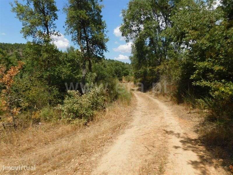 Terreno / Fundão, Quintãs - Grande imagem: 4/11
