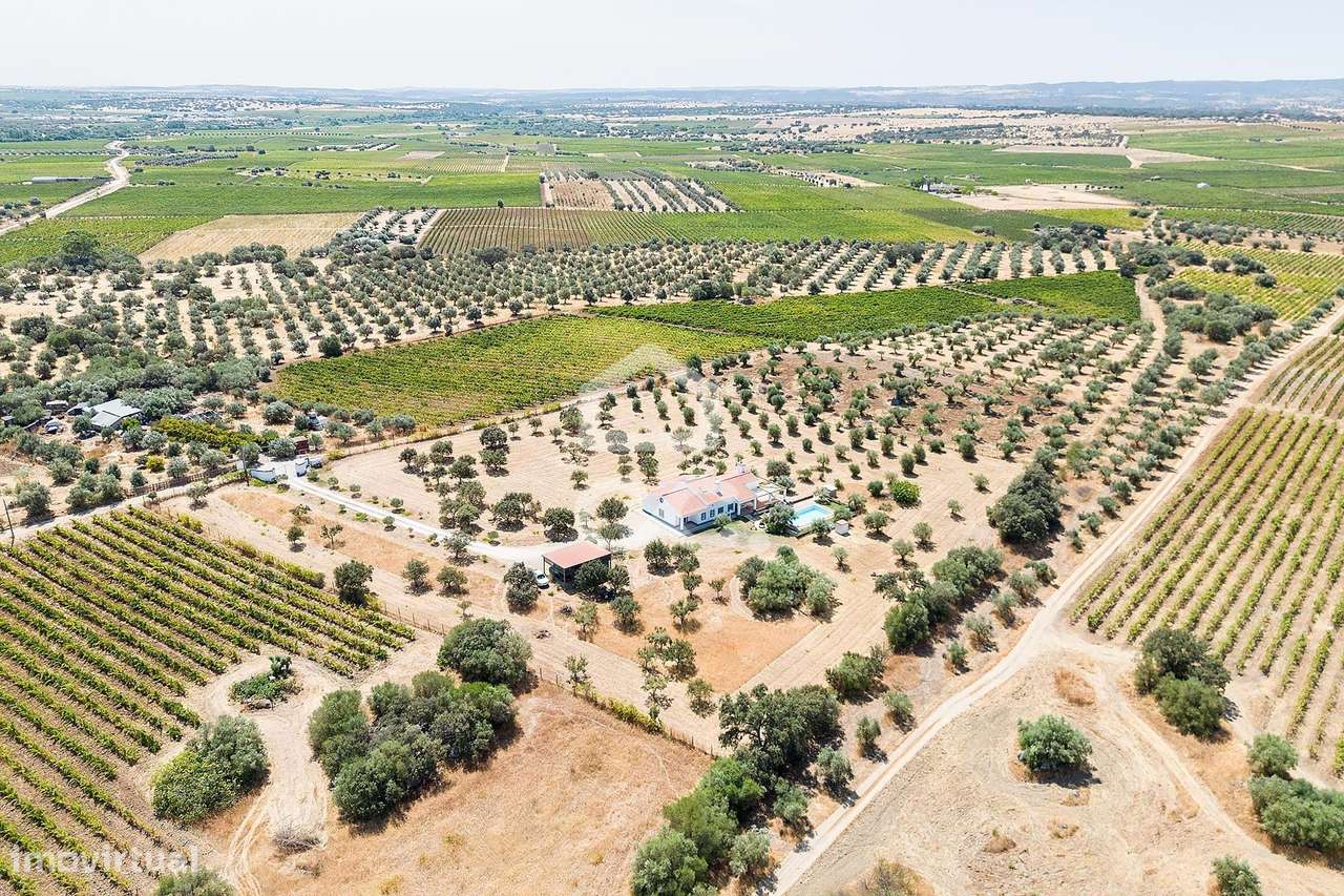 Quinta de 1,29 ha c/ Moradia T4 e Piscina | Reguengos de Monsaraz, Évo-58