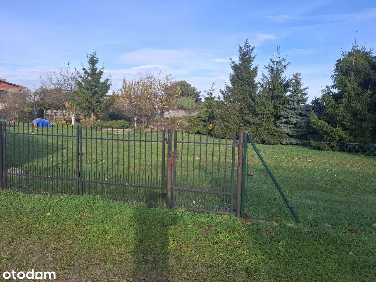 Potarzyca, prąd, woda, gaz, kanalizacja, dojazd asfaltowy, ogrodzona - Pełny obrazek: 4/4