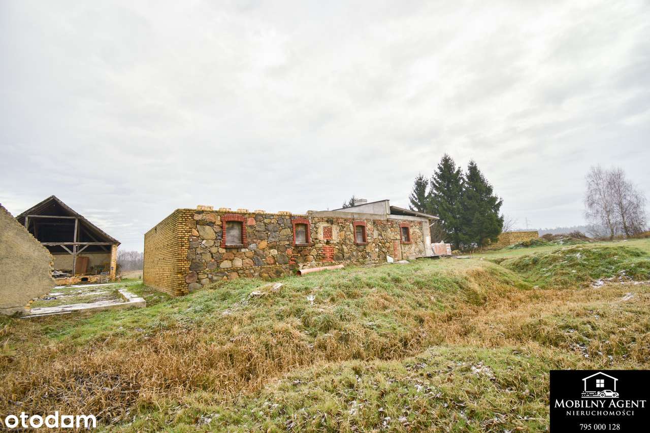 Dom do remontu Sieniawa Żarska-1