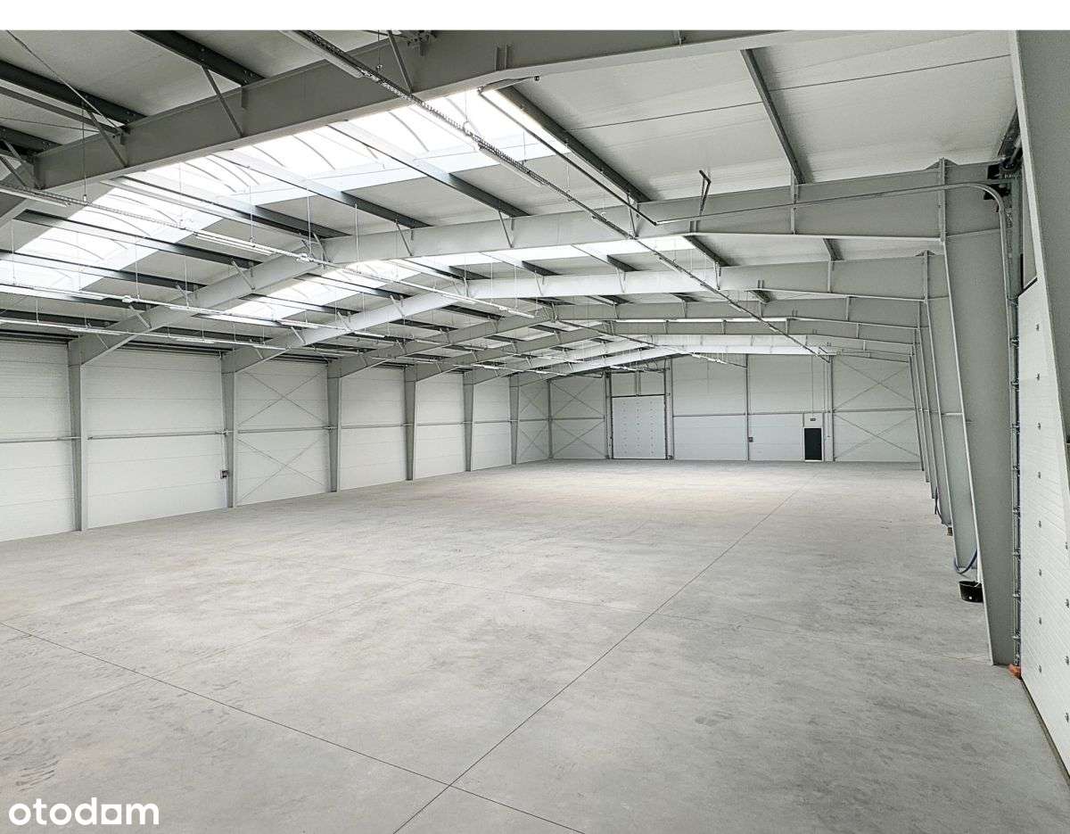 Nowa hala - 1100m2 lub 550m2 - węzeł Miszewo - Pełny obrazek: 5/9