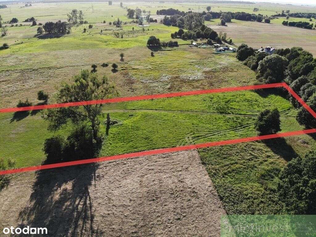 1,95 Ha W Żarnowie – Twoje Miejsce Blisko Natury-5