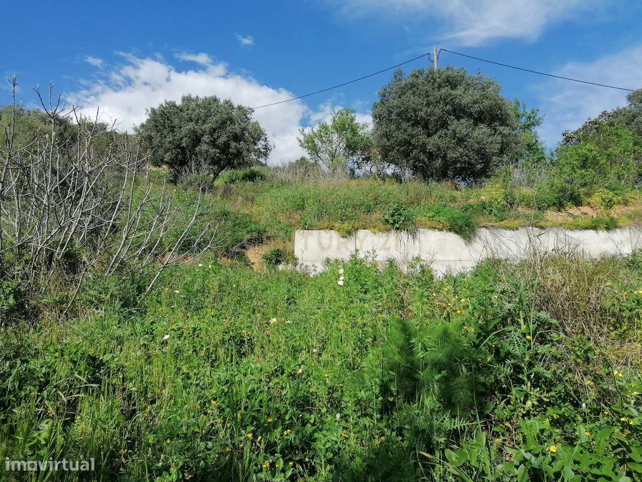 Terreno com projeto aprovado às portas de Alverca! - Grande imagem: 4/7