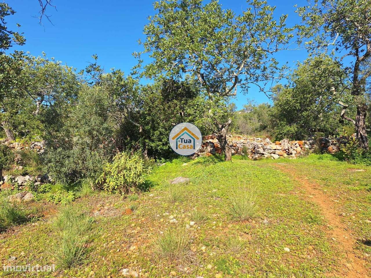 Terreno rústico - Grande imagem: 4/15